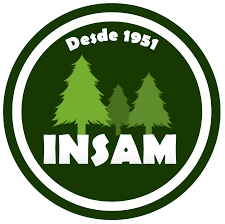 INSAM - Industria de Madeiras Santa Maria Guarapuava PR