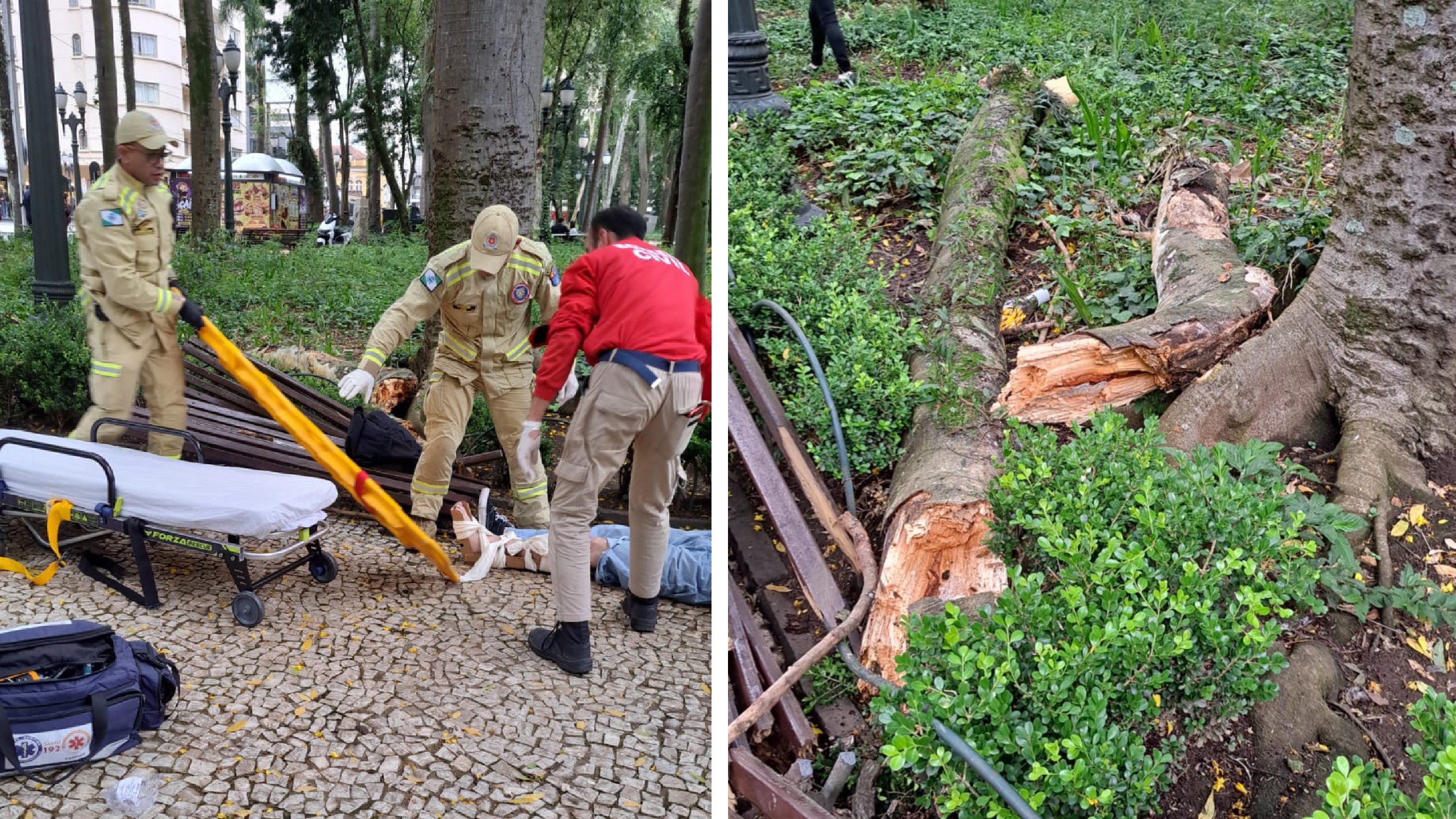foto Not&iacute;cia Guarapuava